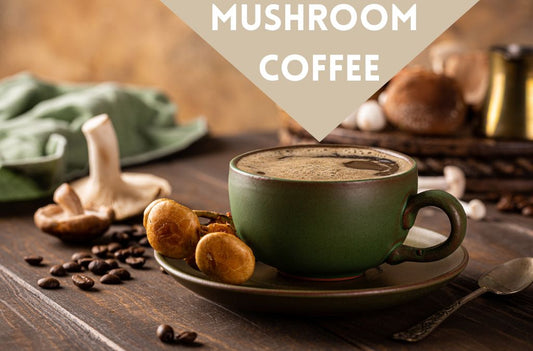 Is Mushroom with Coffee the Ultimate Wellness Boost You Need?